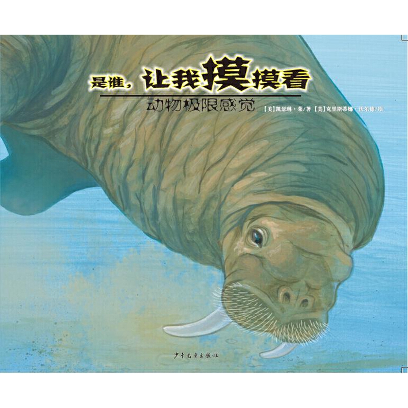 (dng)O޸X-l(shu)׌