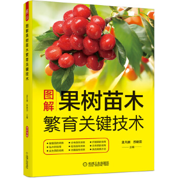 DľP(gun)Ig(sh)12N޽ľ(sh)硢wǤľ