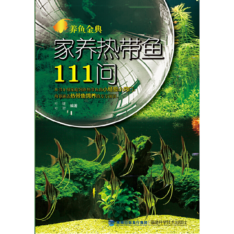 B(yng)~䡪B(yng)Ꭷ~11150ꡰ~g_(d)B(yng)~гy}