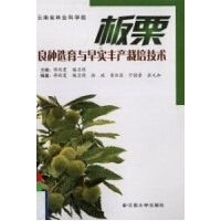 Nxc猍Sa(chn)༼g