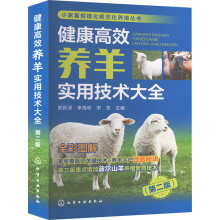 СҎ(gu)Ҏ(gu)B(yng)ֳ--ЧB(yng)?q)üg(sh)ȫڶ棩