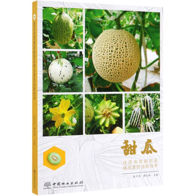 σ(yu)|(zh)Ч༰x¼g(sh)