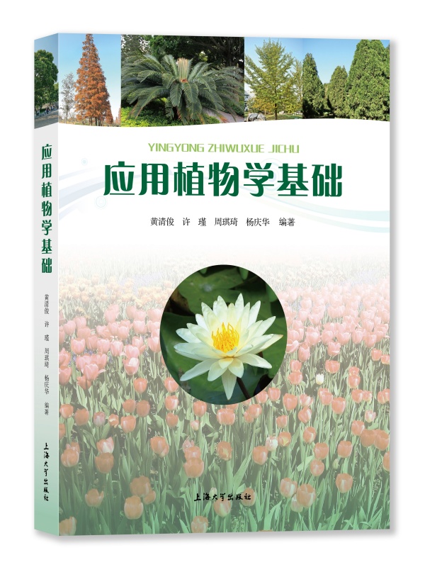 ֲWA