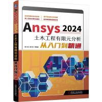 Ansys 2024ľԪTͨ