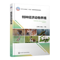 طN(jng)B(yng)ֳW