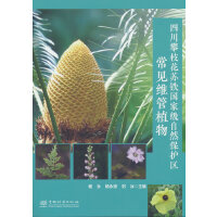 Ĵ֦KFҼȻo^(q)ҊSֲ