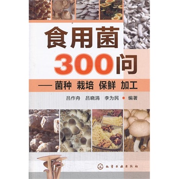 ʳþ300(wn)--Nr ӹ